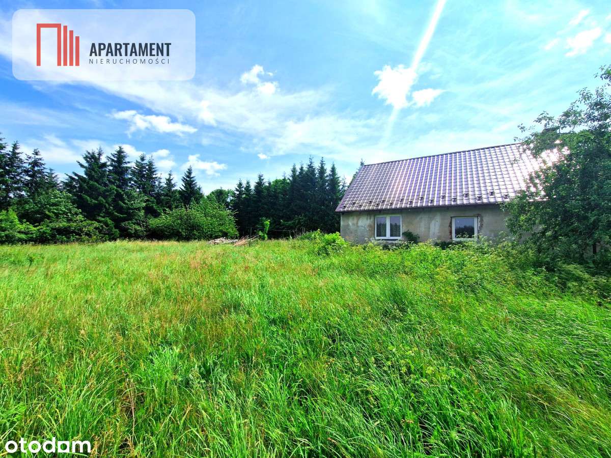 Dom do remontu w spokojnej okolicy. - Pełny obrazek: 4/14