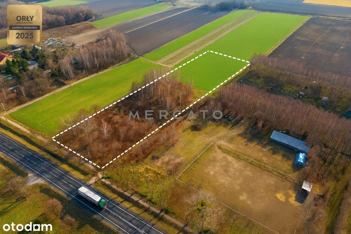 Działka 10 000 m² z potencjałem – na sprzedaż-3