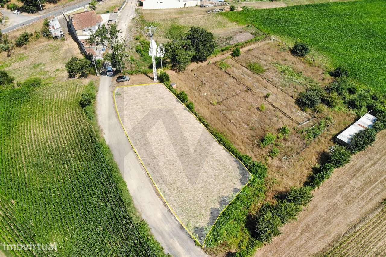 Terreno com Excelente Potencial para Construção – Beduído, Estarreja-17
