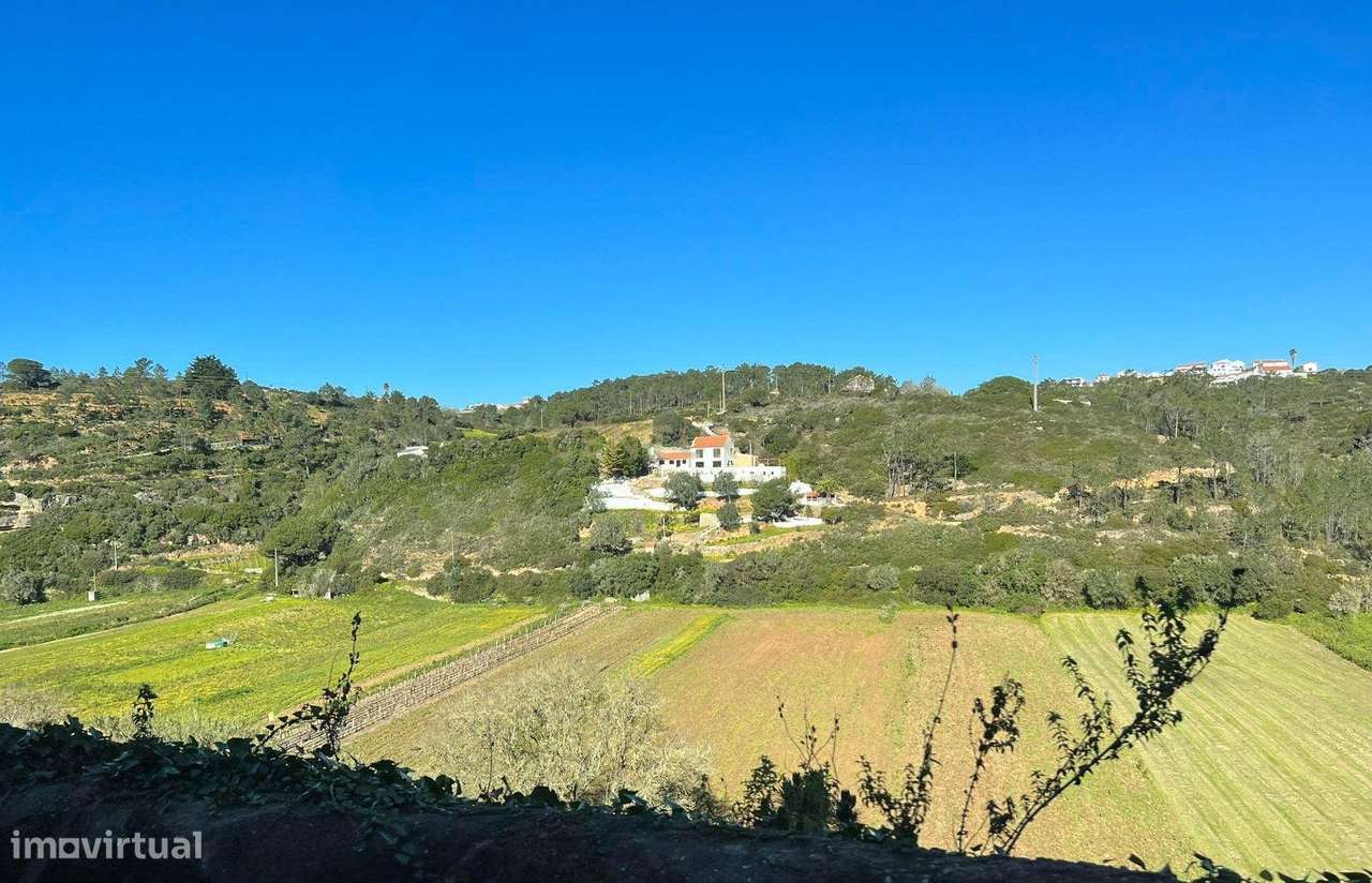 Terreno Rústico no Lameirão em Malpica do Tejo, Castelo Branco - Grande imagem: 2/4