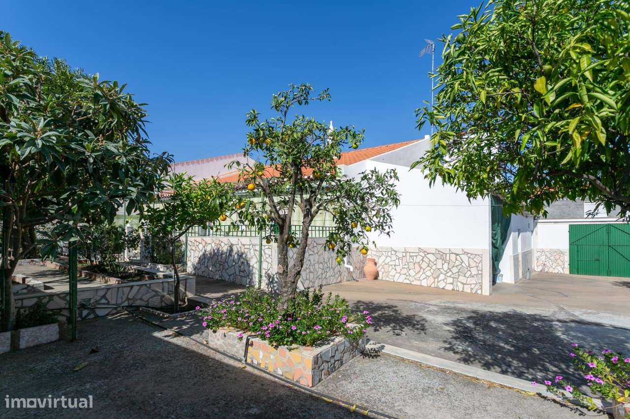 Moradia T3 na Granja - Alentejo - Grande imagem: 5/27