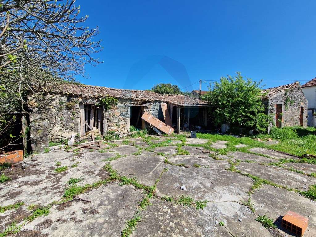 Ruína em Pedra e Terrenos com Viabilidade de Construção - Pombal-9