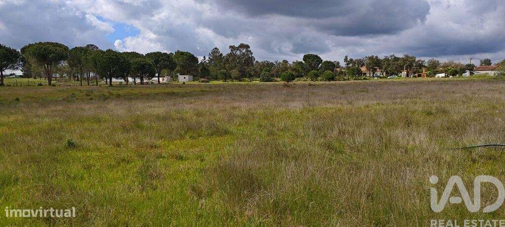 Terreno para construção em Branca de 39000,00 m2 - Grande imagem: 5/14
