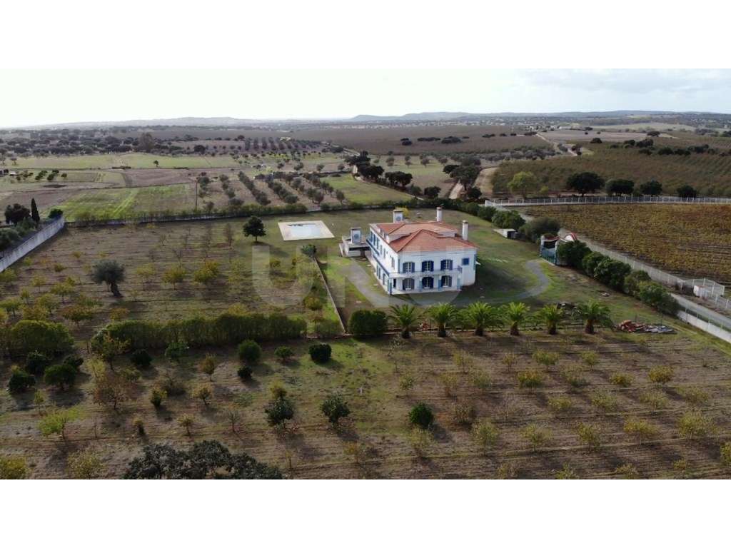 Quinta com 4,8 hectares e casa T9 em Vila Nova da Baronia - Grande imagem: 5/60
