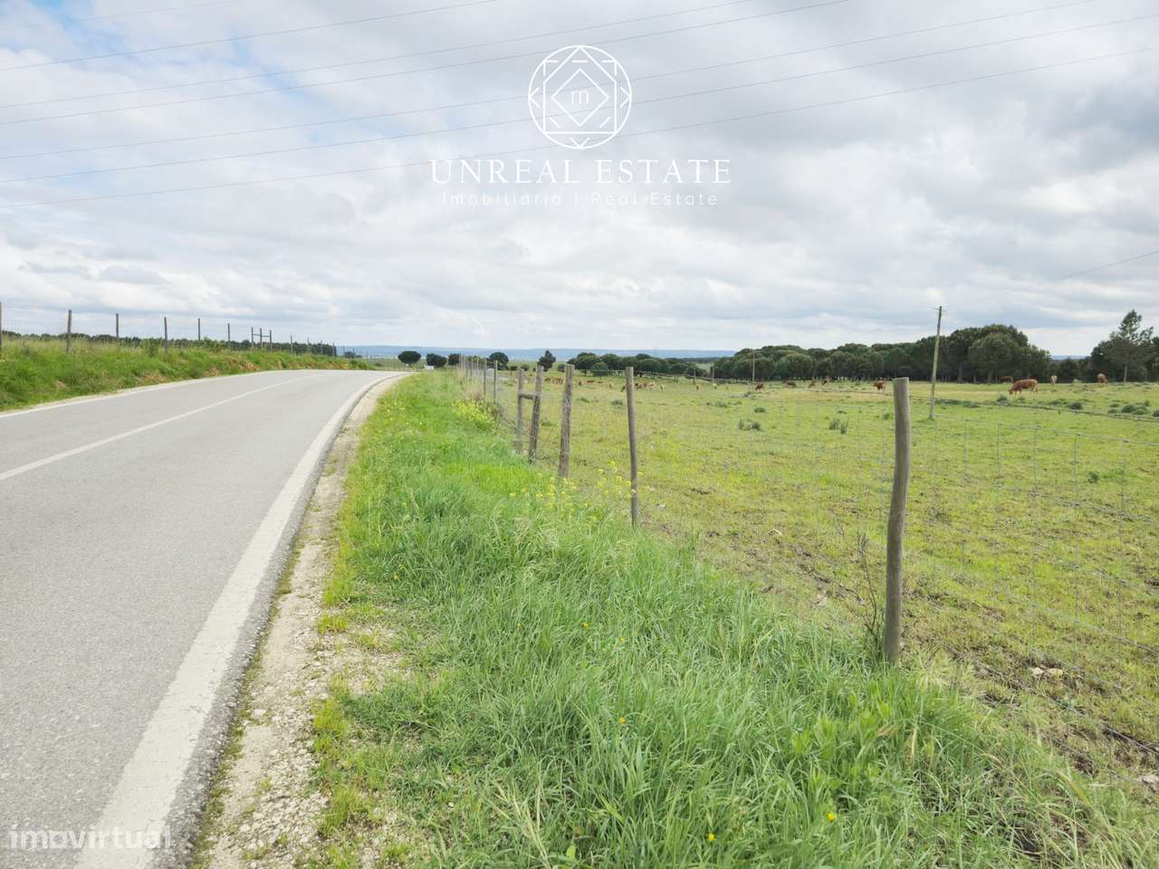 Lote de Terreno  Venda em Brogueira, Parceiros de Igreja e Alcorochel, - Grande imagem: 5/13