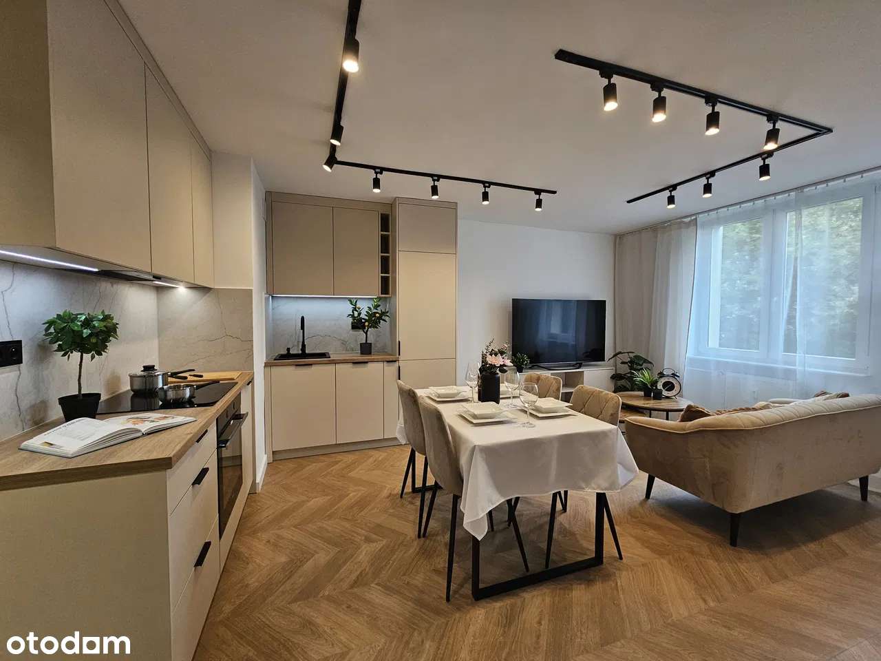 Okazja! 3 pokoje – sprzedaż wyłącznie za gotówkę - Pełny obrazek: 2/15