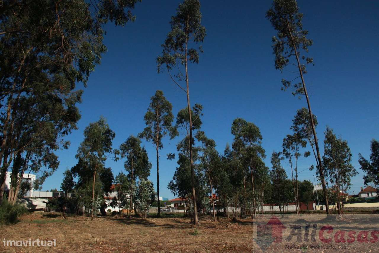 Excelente Terreno P/Construção em Altura-17