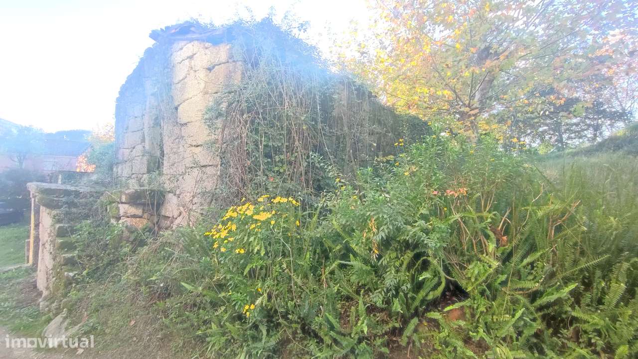 Moradia para restauro em Bouro Santa Maria, Amares - Grande imagem: 5/12