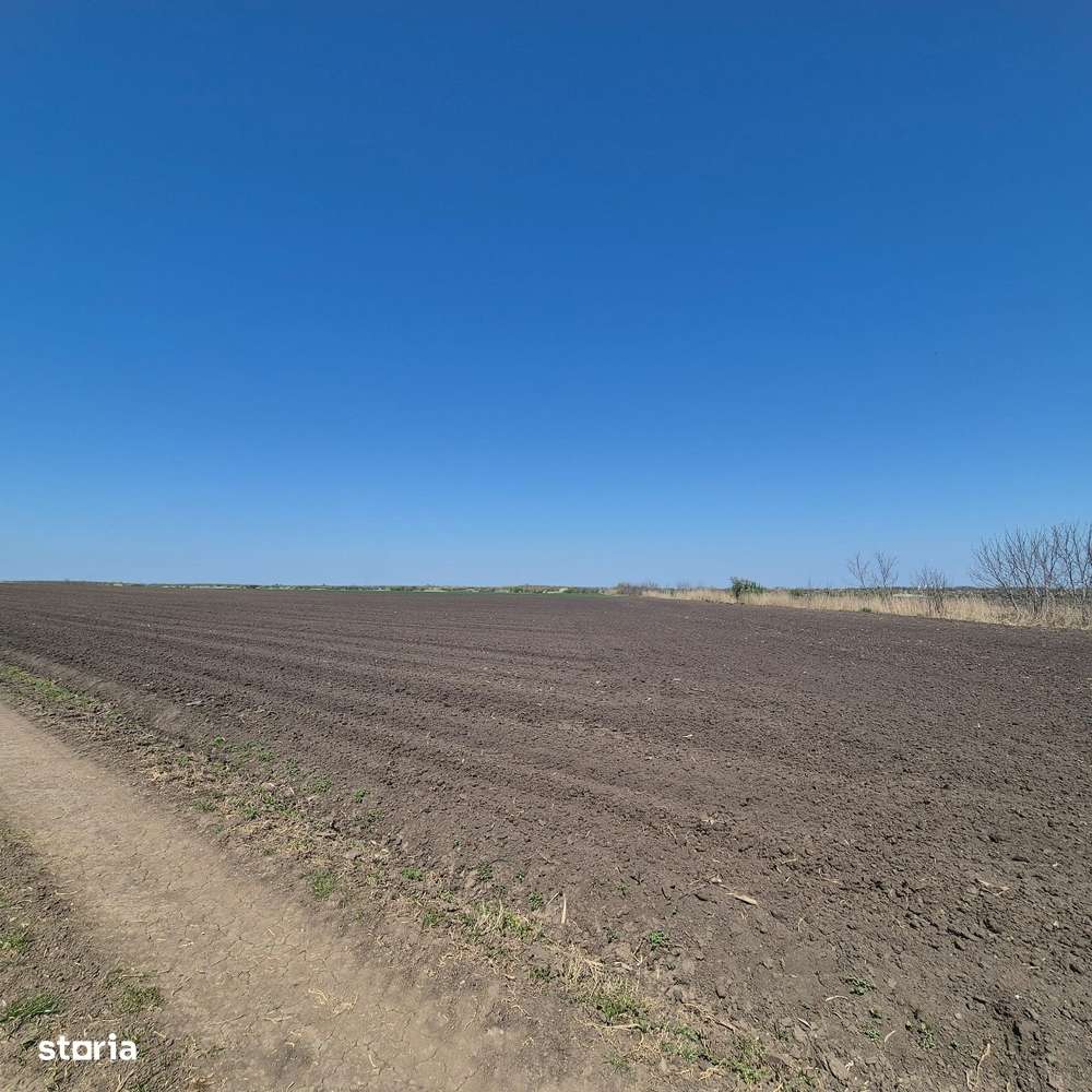 GRADISTEA - Sat Sitaru, teren agricol 11.961mp, ideal investitie-5