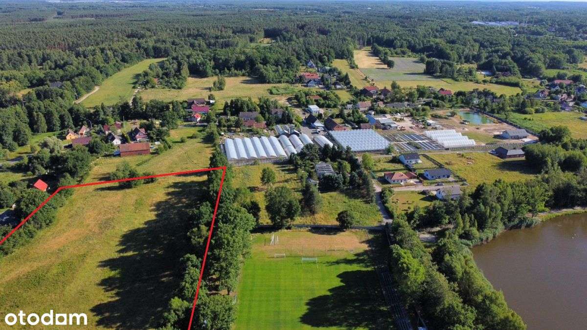 Działka Deweloperska 1,95 ha – żary, Kunice - Pełny obrazek: 5/20