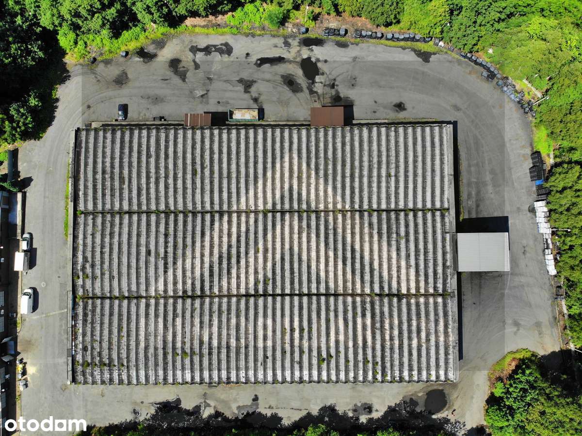 Hala magazynowo-produkcyjna 4 799 m² Ruda Śląska, inwestycja z najemcą - Pełny obrazek: 5/15