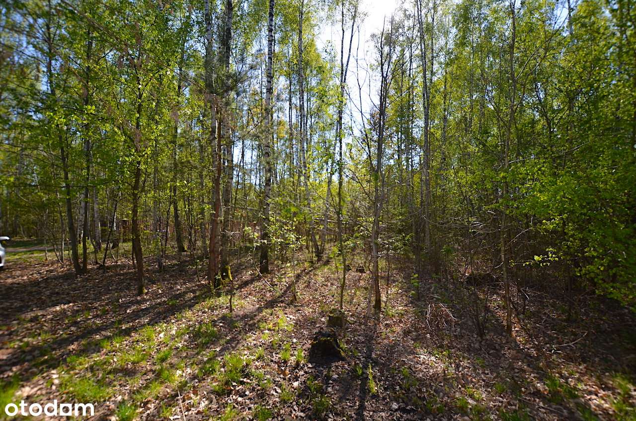 Działka budowlana 2000 m2 / Adamów-Parcel-2