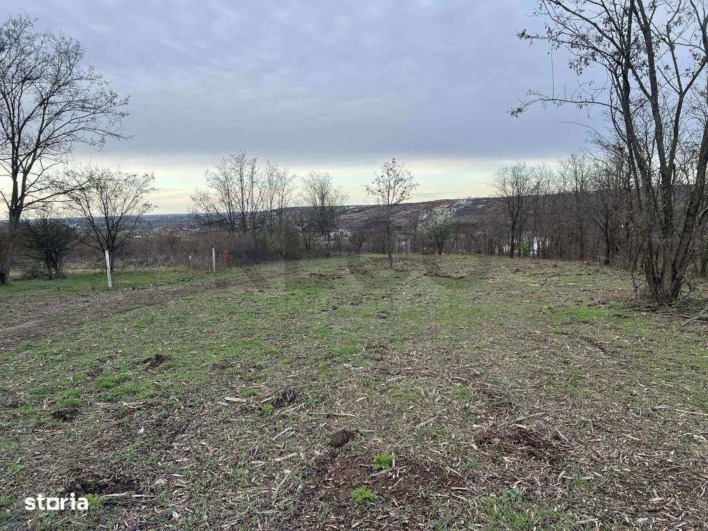 RECO, teren intravilan in Paleu - Imagine principală: 2/4