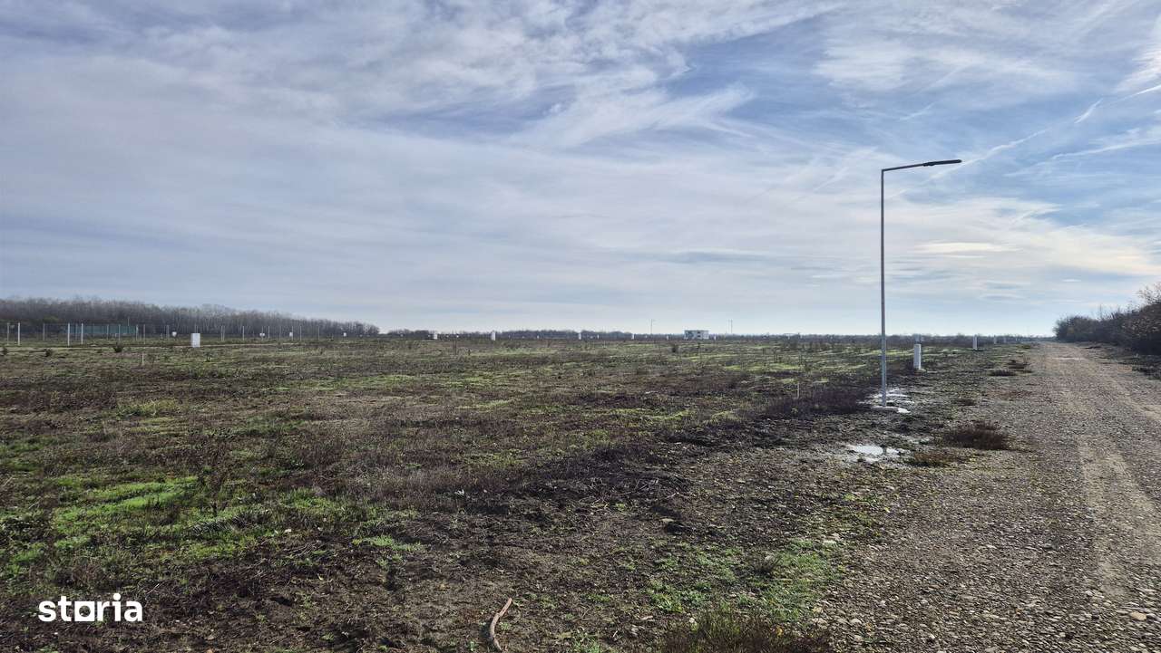 Loturi de teren 638 mp - curent tras la teren - Crevedia - Imagine principală: 5/11