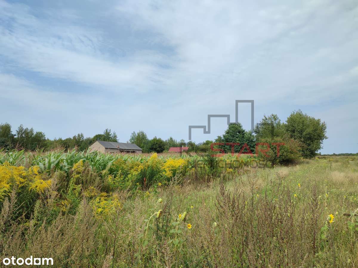 Na sprzedaż – działka siedliskowa 6,73 ha - Pełny obrazek: 2/9