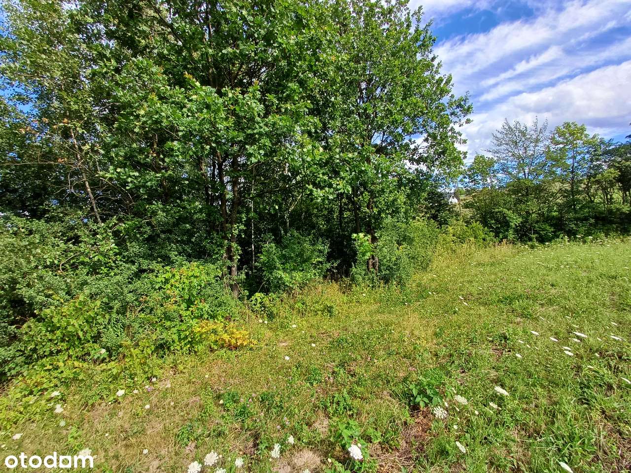 Działki na sprzedaż - Lanckorona ul. Krakowska-1