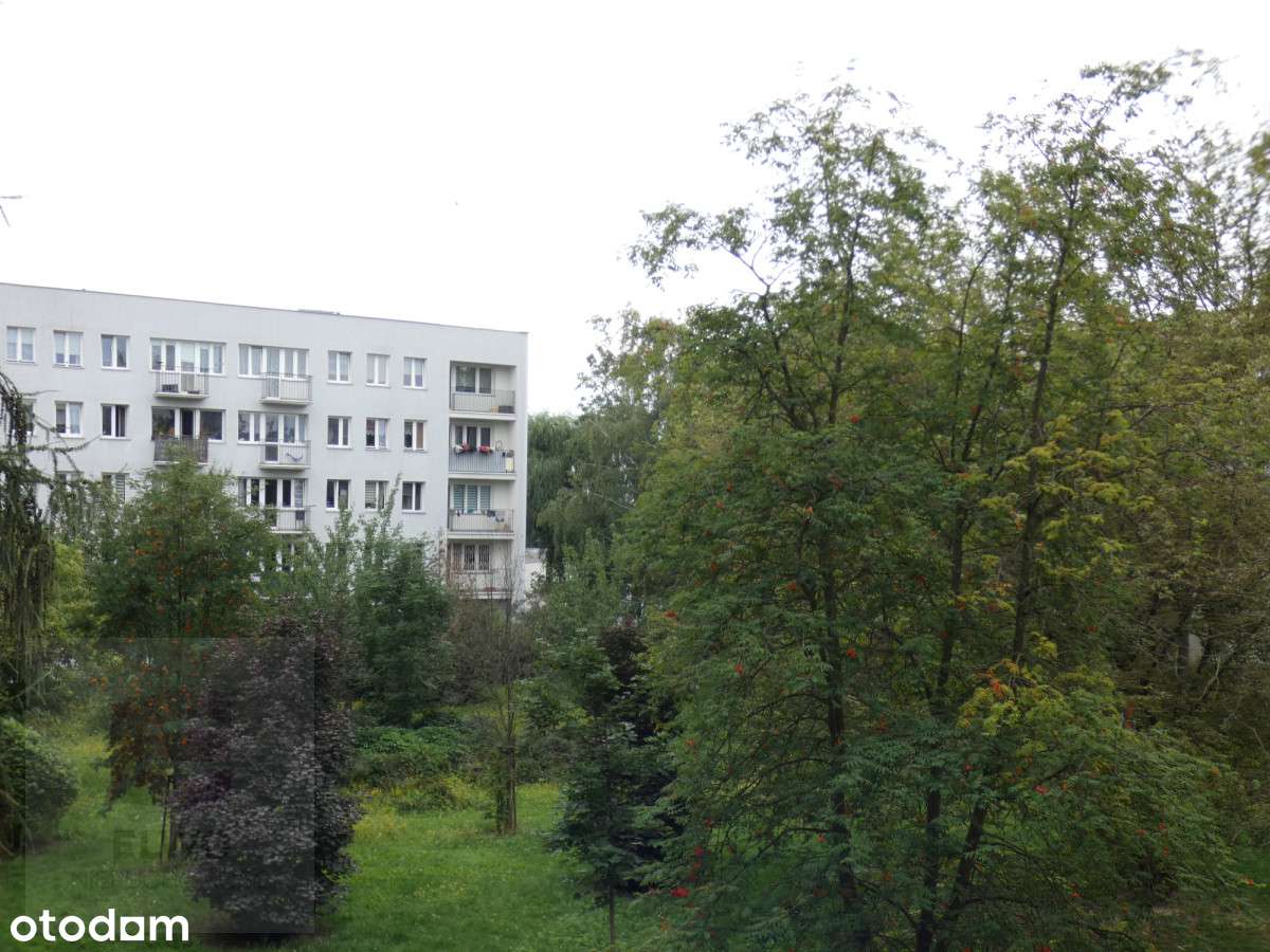 Ładne 3 pokoje z loggią jak w parku.-18