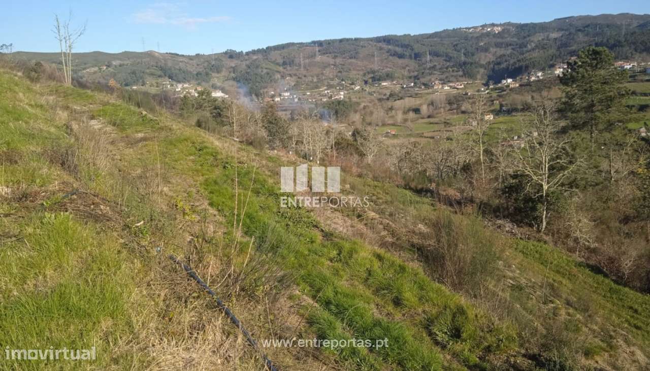 Venda Terreno 3000m2, Gôve, Baião - Grande imagem: 4/8