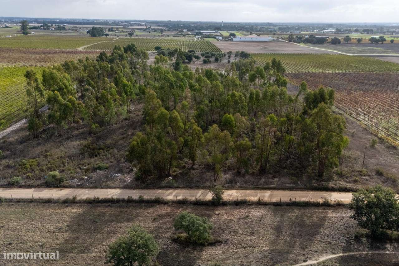 Terreno Marateca - Grande imagem: 4/18