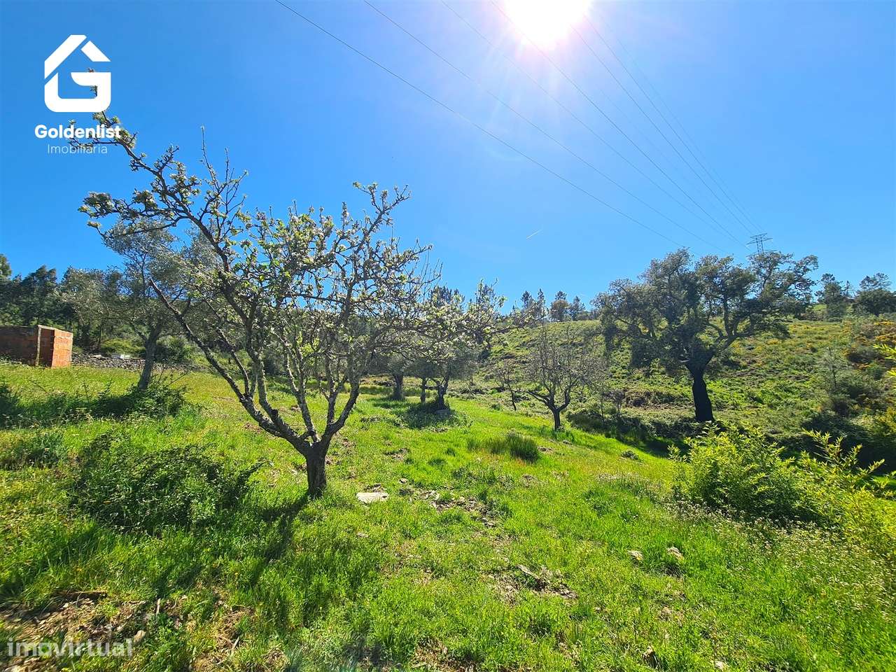 Terreno  Venda em Cebolais de Cima e Retaxo,Castelo Branco-13