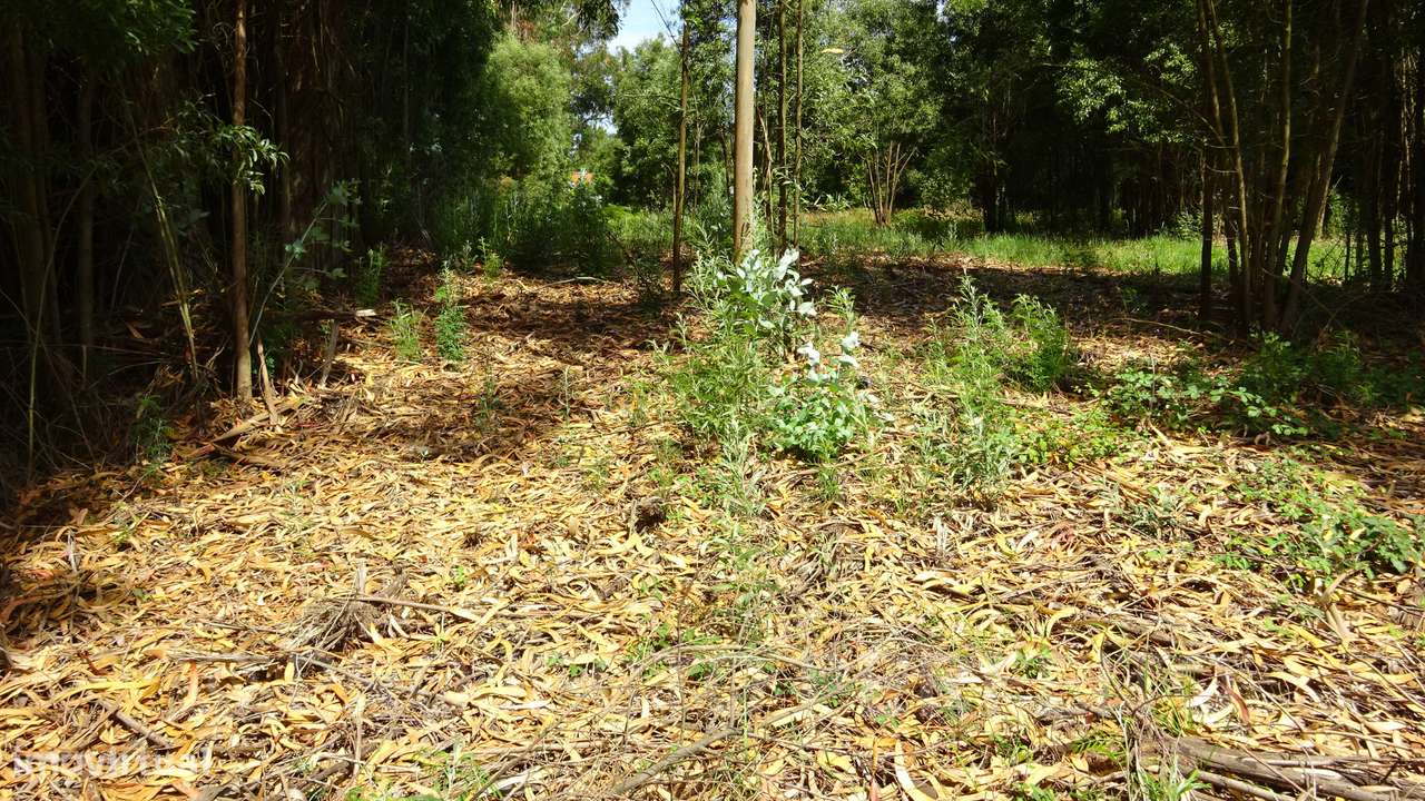 Lote de Terreno  Venda em Grijó e Sermonde,Vila Nova de Gaia - Grande imagem: 4/10