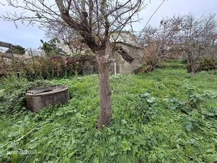 Terreno  para venda - Grande imagem: 2/6