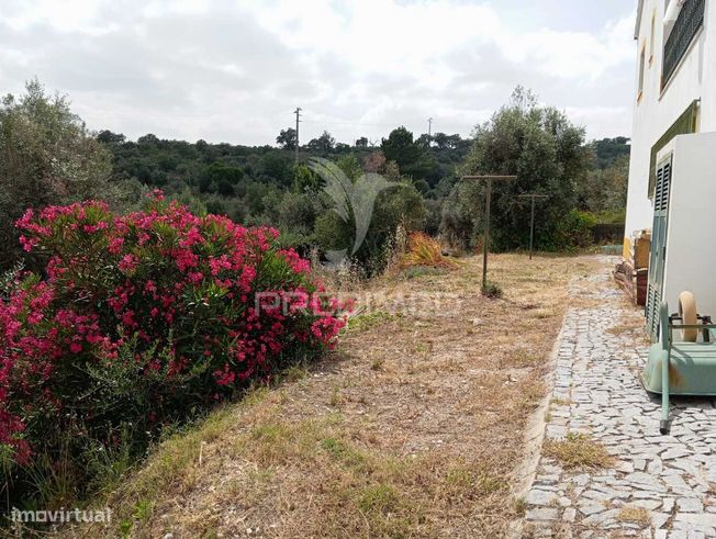 Quintinha - Fonte dos Fornos - Portalegre-14