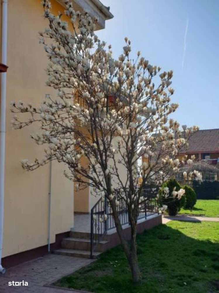 Casa de vanzare – Domnesti, 4 camere-12