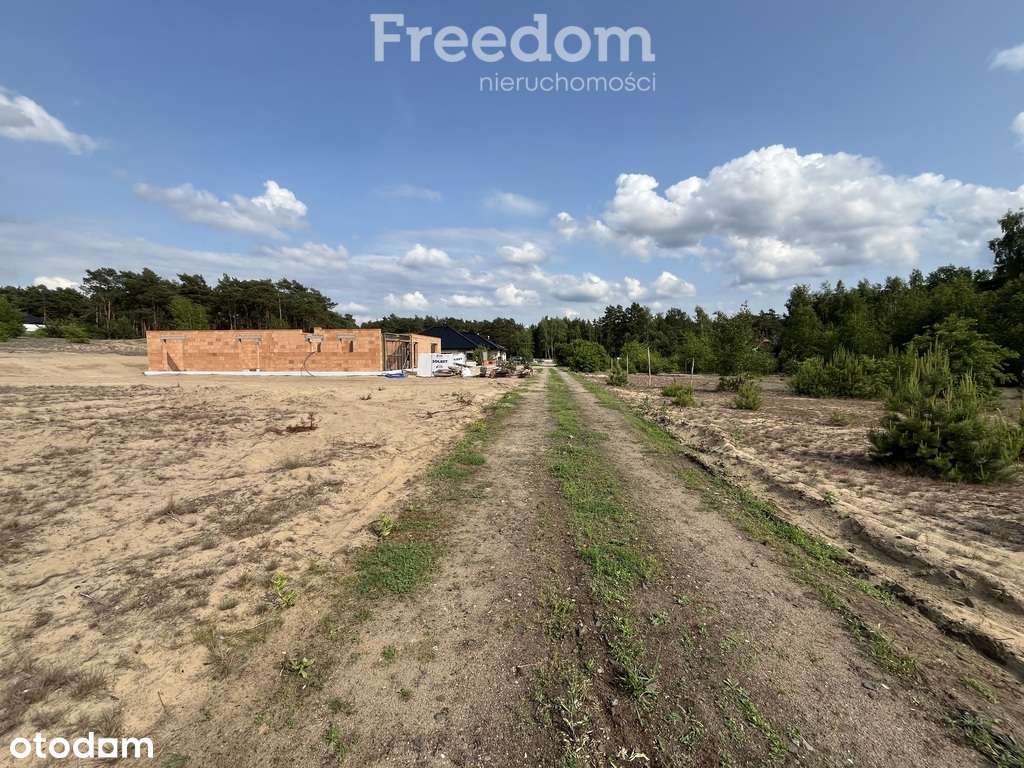 Działka w sąsiedztwie lasu Górsk/Czarne Błoto - Pełny obrazek: 5/6