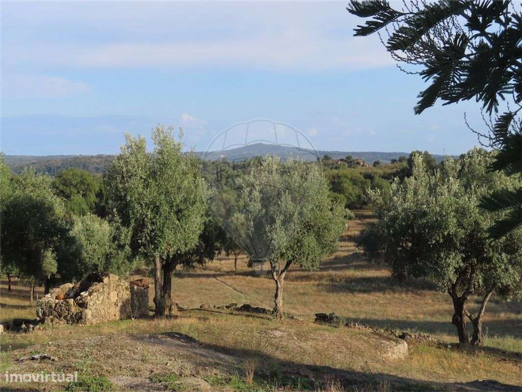 Quinta  para venda - Grande imagem: 5/30