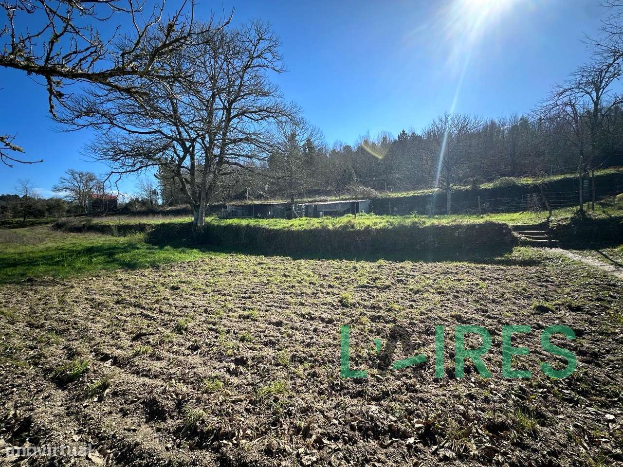 Quinta Agrícola com 3ha-7