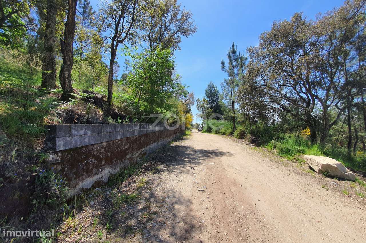 Bouça c/ 14.300m2 em Airó, Barcelos - Grande imagem: 5/38