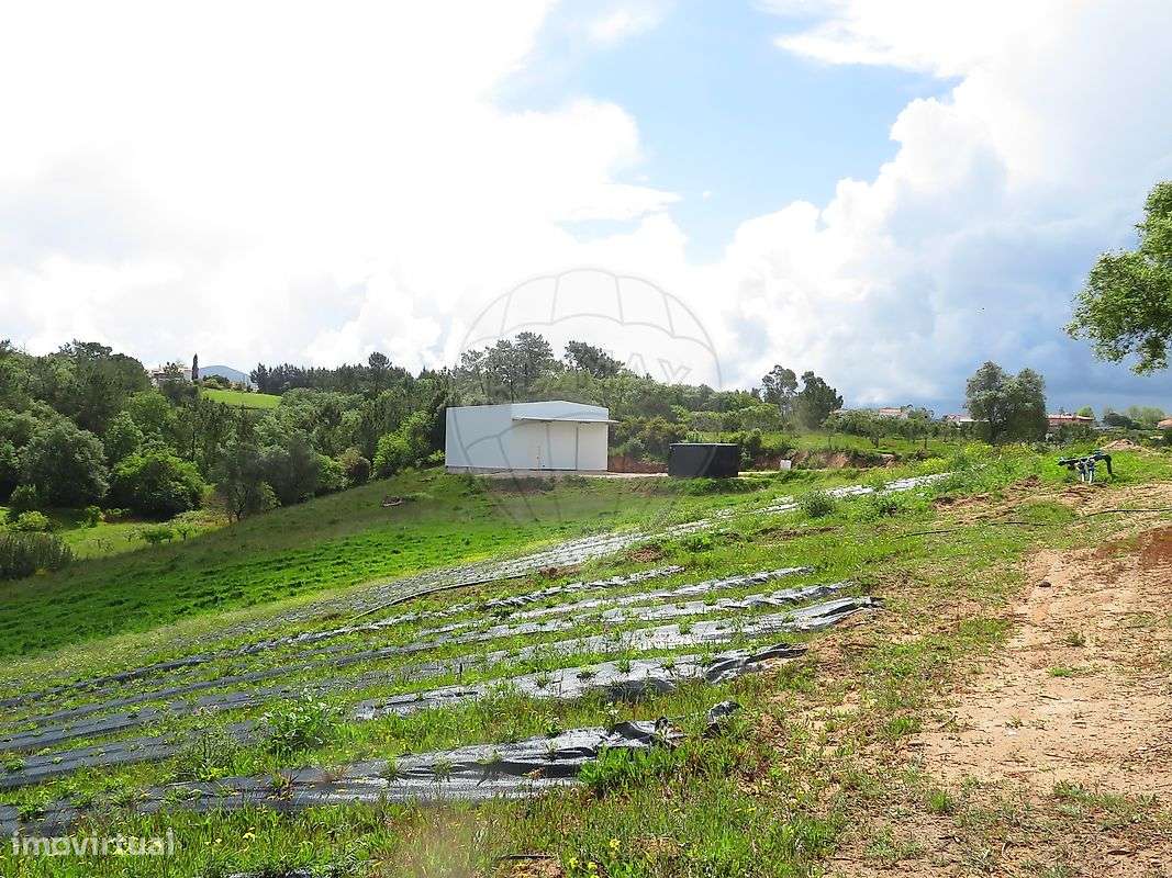 Terreno  para venda - Grande imagem: 3/5