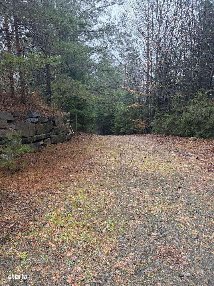 Casă de vacanță – Zona Baraj Firiza-5