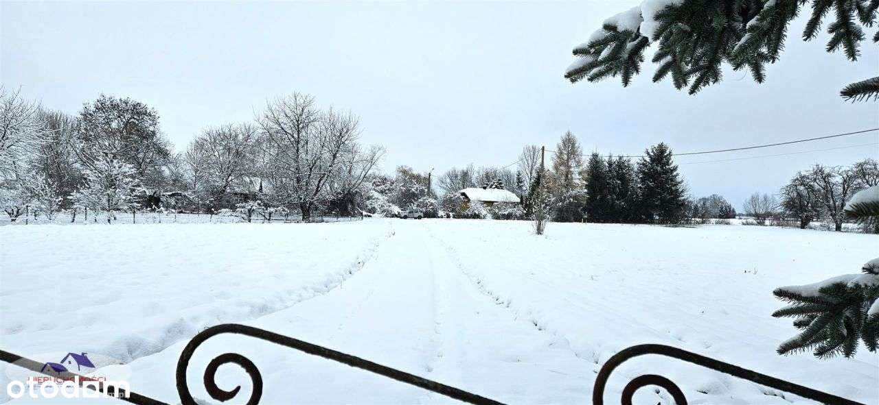 Dom, 110 m², Okręg-19