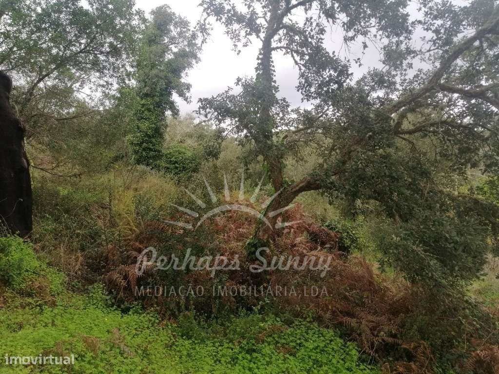 Quinta em Relíquias - Odemira-17