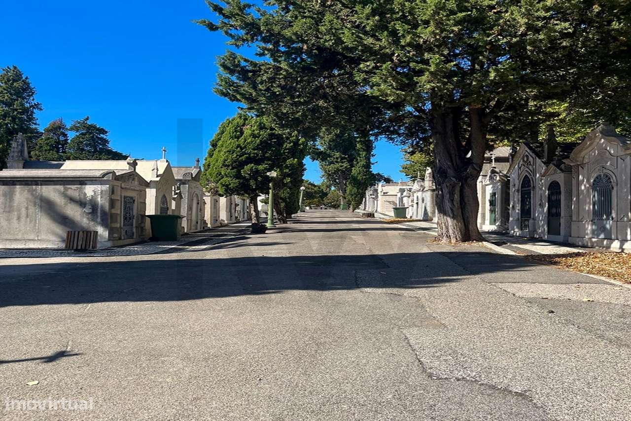 Jazigo em Mármore para 3 Lugares | Cemitério dos Prazeres | Lisboa-7