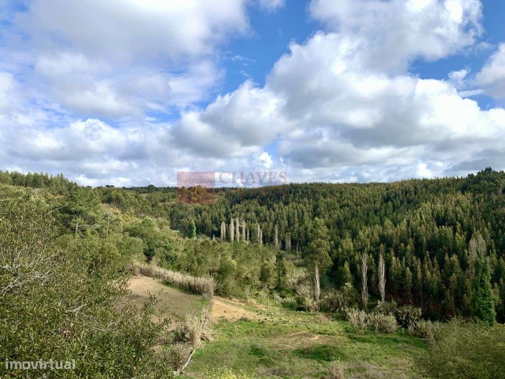 Mafra - Quinta com casa para renovar, vinha e vista deslumbrante! P... - Grande imagem: 5/11