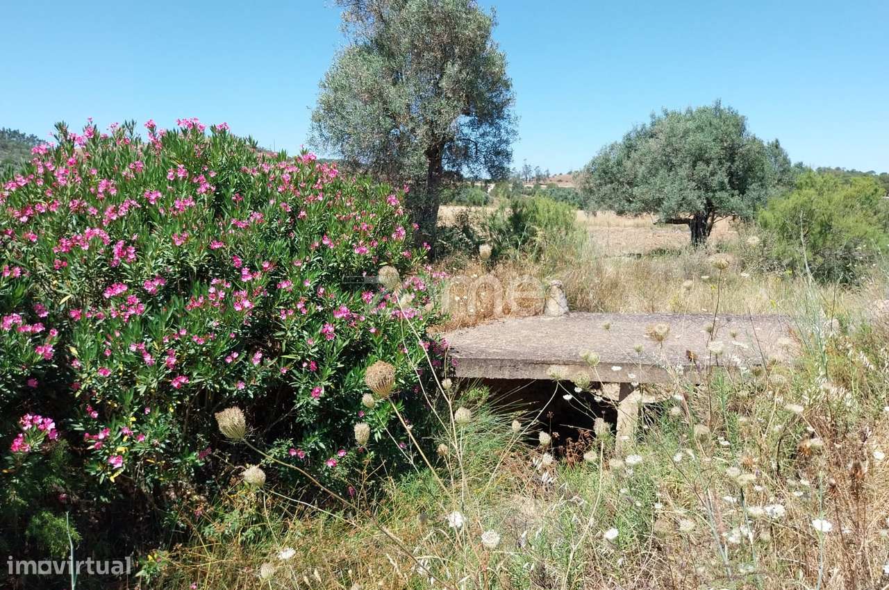 Terreno Rústico com 18.420m2 nos Campilhos, S.B.Messines - Grande imagem: 3/28