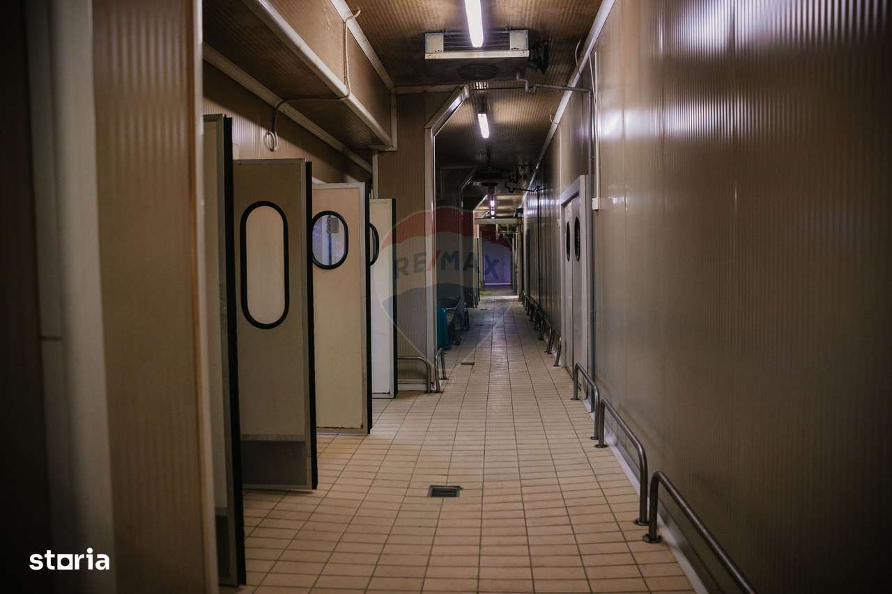 De vânzare AFACERE la cheie--CARMANGERIE--ABATOR--PREPARARE MEZELURI - Imagine principală: 5/12