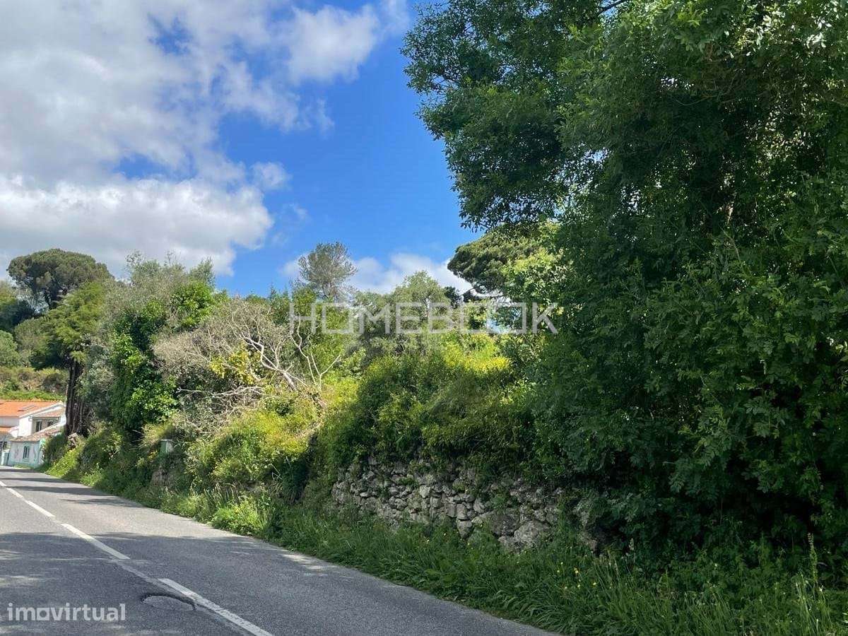 Terreno Rústico  - Sobral de Monte Agraço - Grande imagem: 4/6