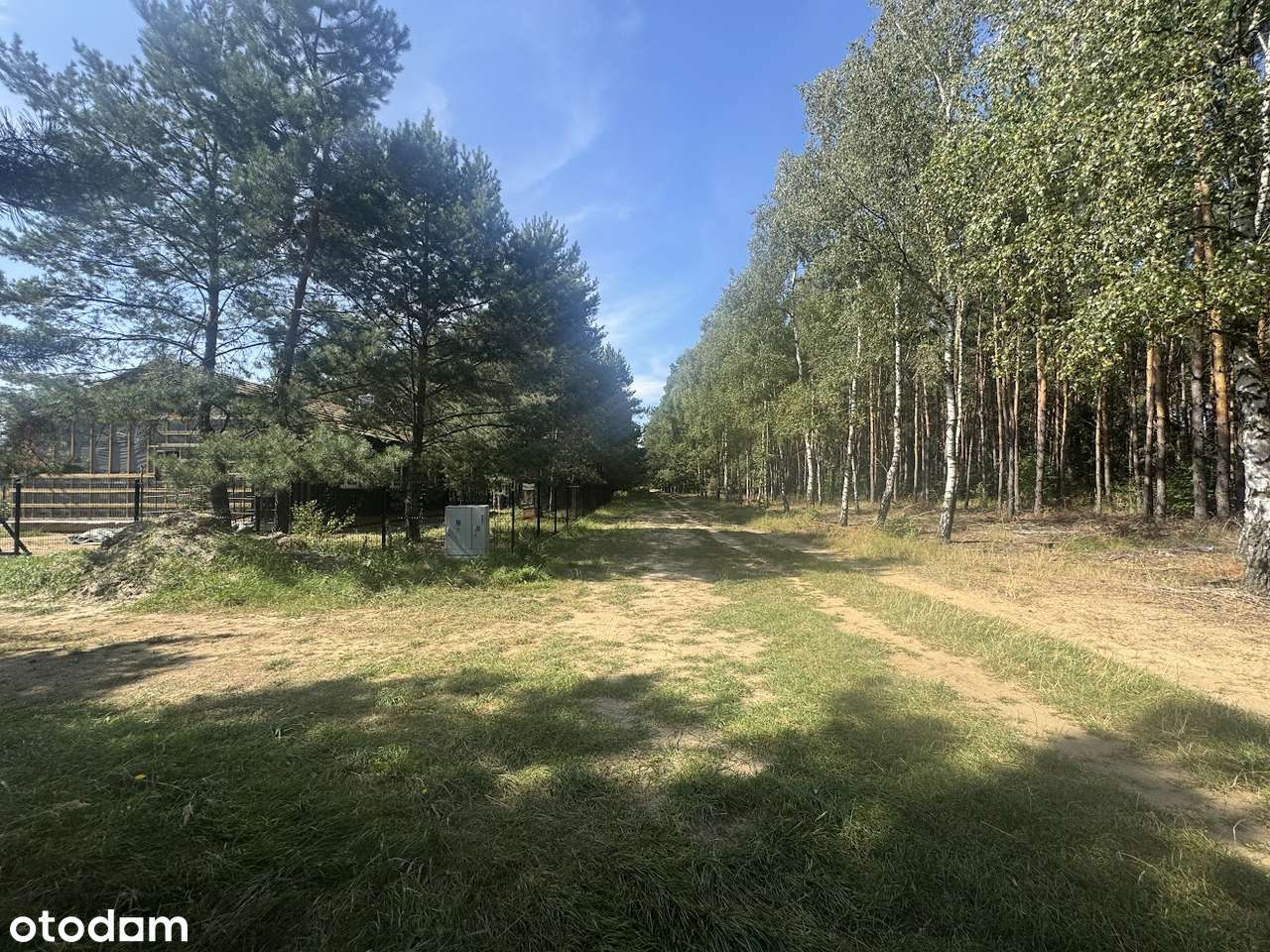 Wierzyce Osiedle Akacjowe - przy lesie-13