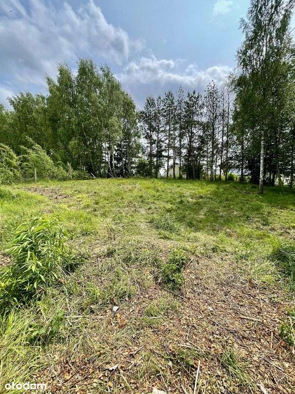 Wyjątkowa działka - w zaciszu natury, blisko jezi-4