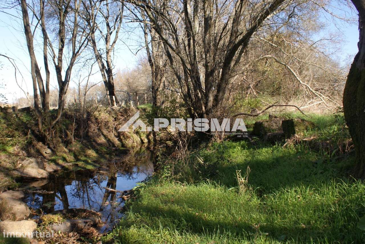 Oportunidade Única às Portas de Castelo Branco!-16