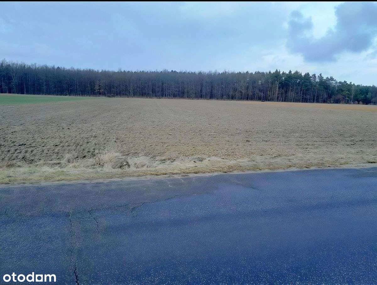 Działka inwestycyjna|dom|magazyn|Żarnów - Pełny obrazek: 2/11