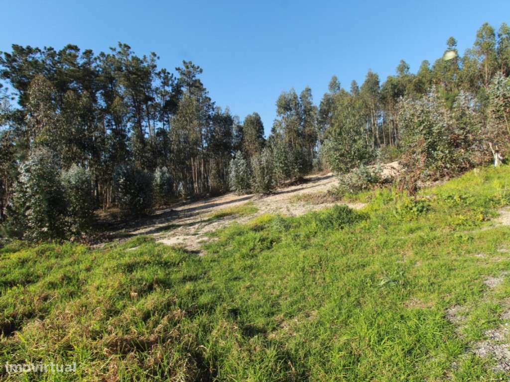 Lote de terreno com projeto aprovado - Grande imagem: 4/14