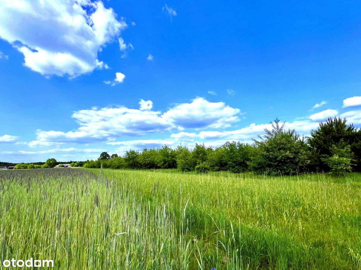 Sielsko i inwestycyjnie – 1,4 ha blisko Warszawy-10