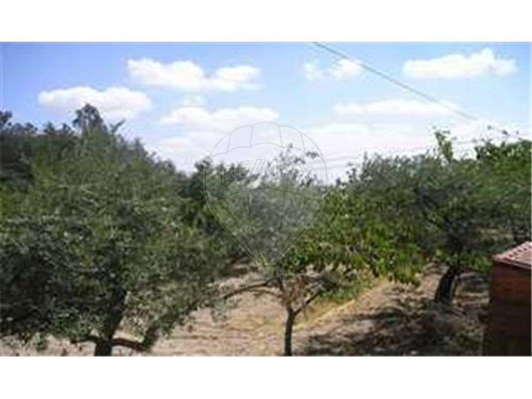 Quinta T0 para venda - Grande imagem: 4/18