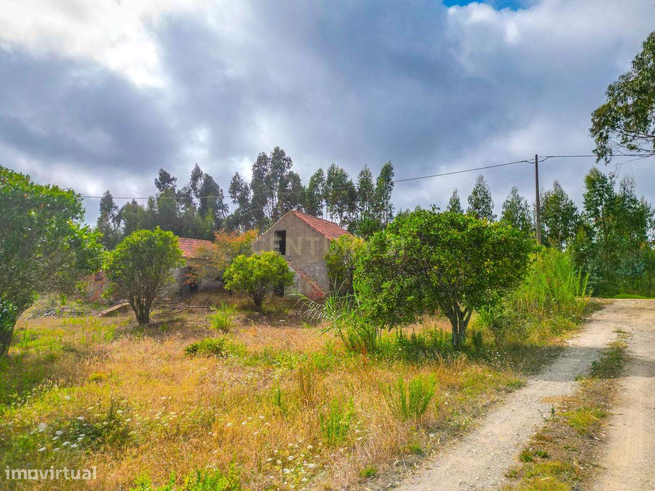Propriedade para restaurar |  Vau | Óbidos - Grande imagem: 2/11