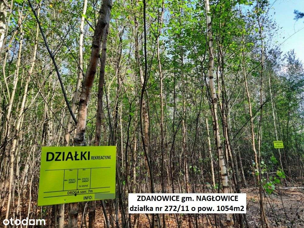 Tania działka rekreacyjna 1054m2 (plan) cena 54.900zł (f-ra 23% VAT)-19